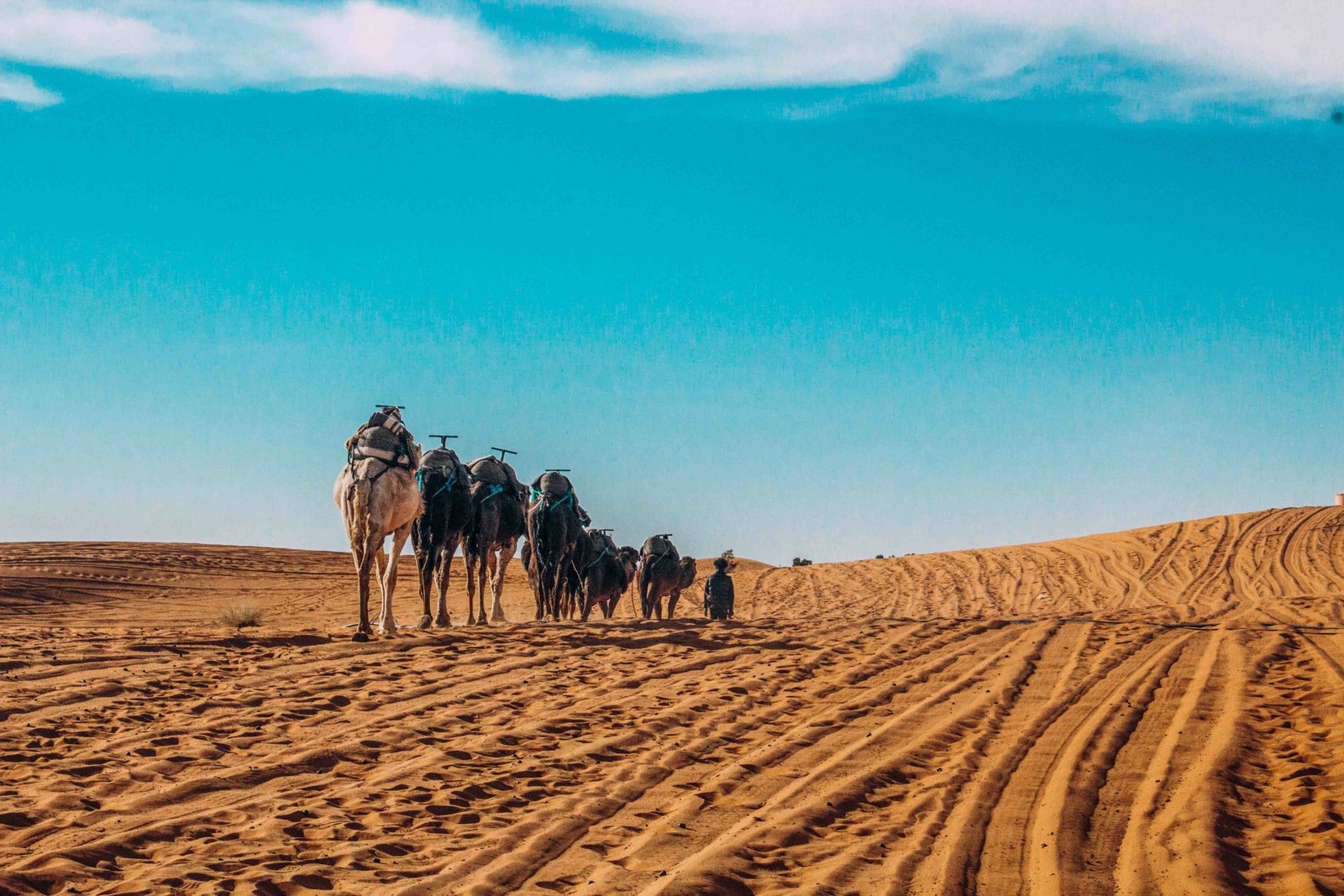 Take a Hot Air Balloon Ride Over Morocco